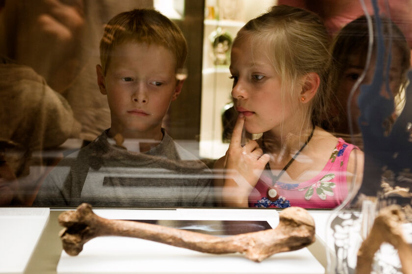 Kinder bei einer Ausstellung im Archäologischen Landesmuseum in Brandenburg an der Havel © Fritz Fabert