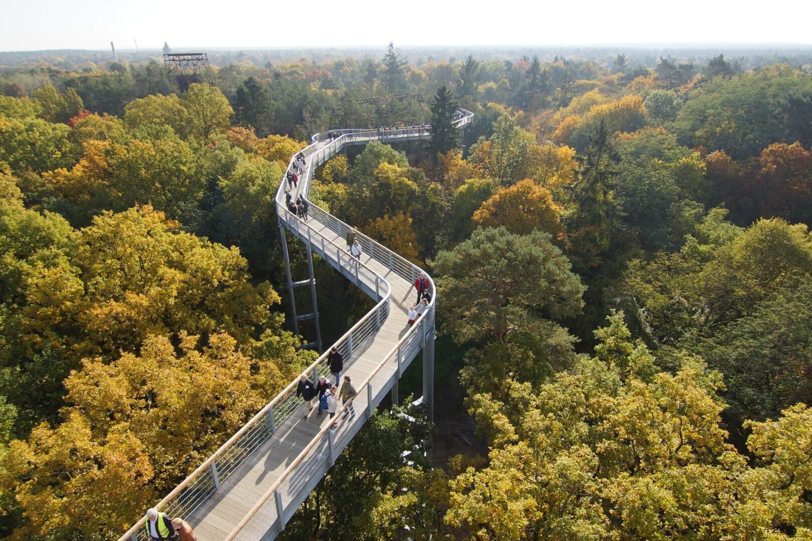 Baumkronenpfad Beelitz Heilstätten