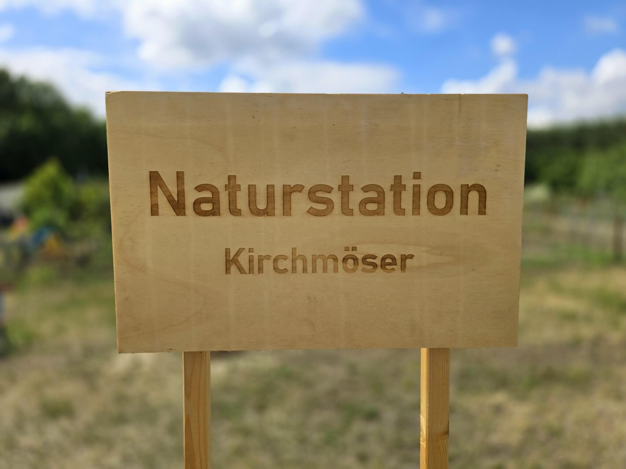 Woche der Klimaanpassung: Klimafit gärtnern