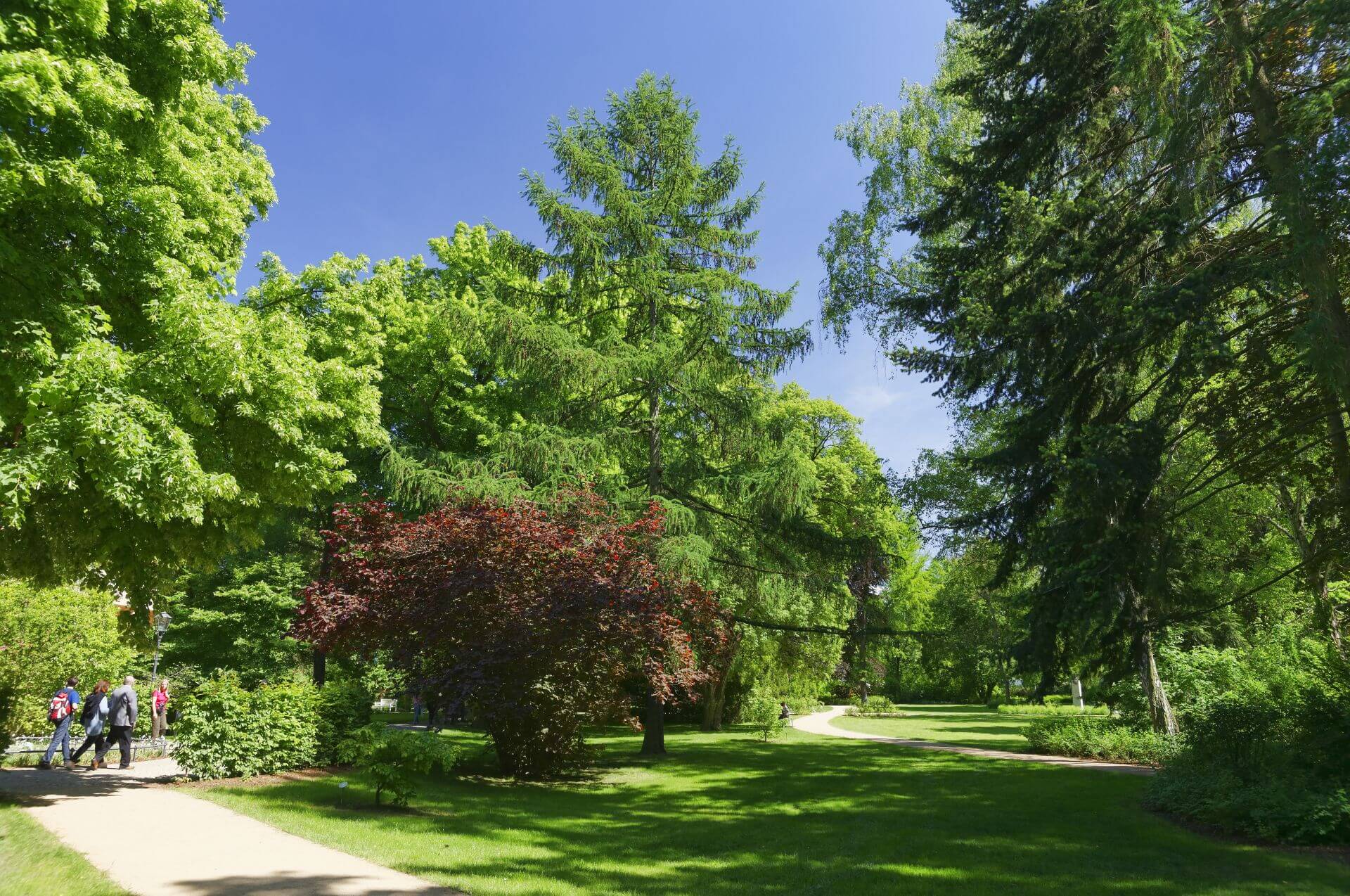 Humboldthain in Brandenburg an der Havel © Boettcher